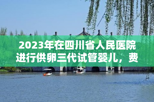 2023年在四川省人民医院进行供卵三代试管婴儿，费用及明细