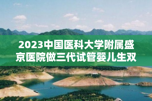 2023中国医科大学附属盛京医院做三代试管婴儿生双胞胎费用全新解读